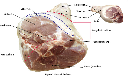 How To Dry Cure Ham